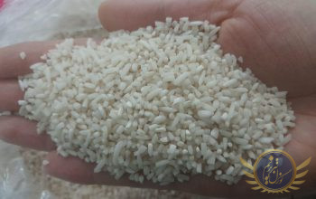 برنج نیم دانه مغان
